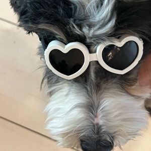 Meet your Posher, Mar